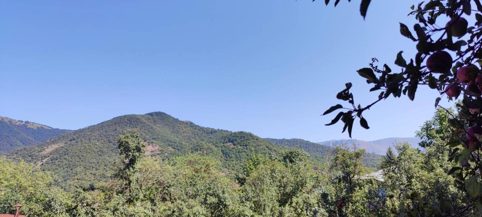 Sunny Lodge 迪利然 外观 照片