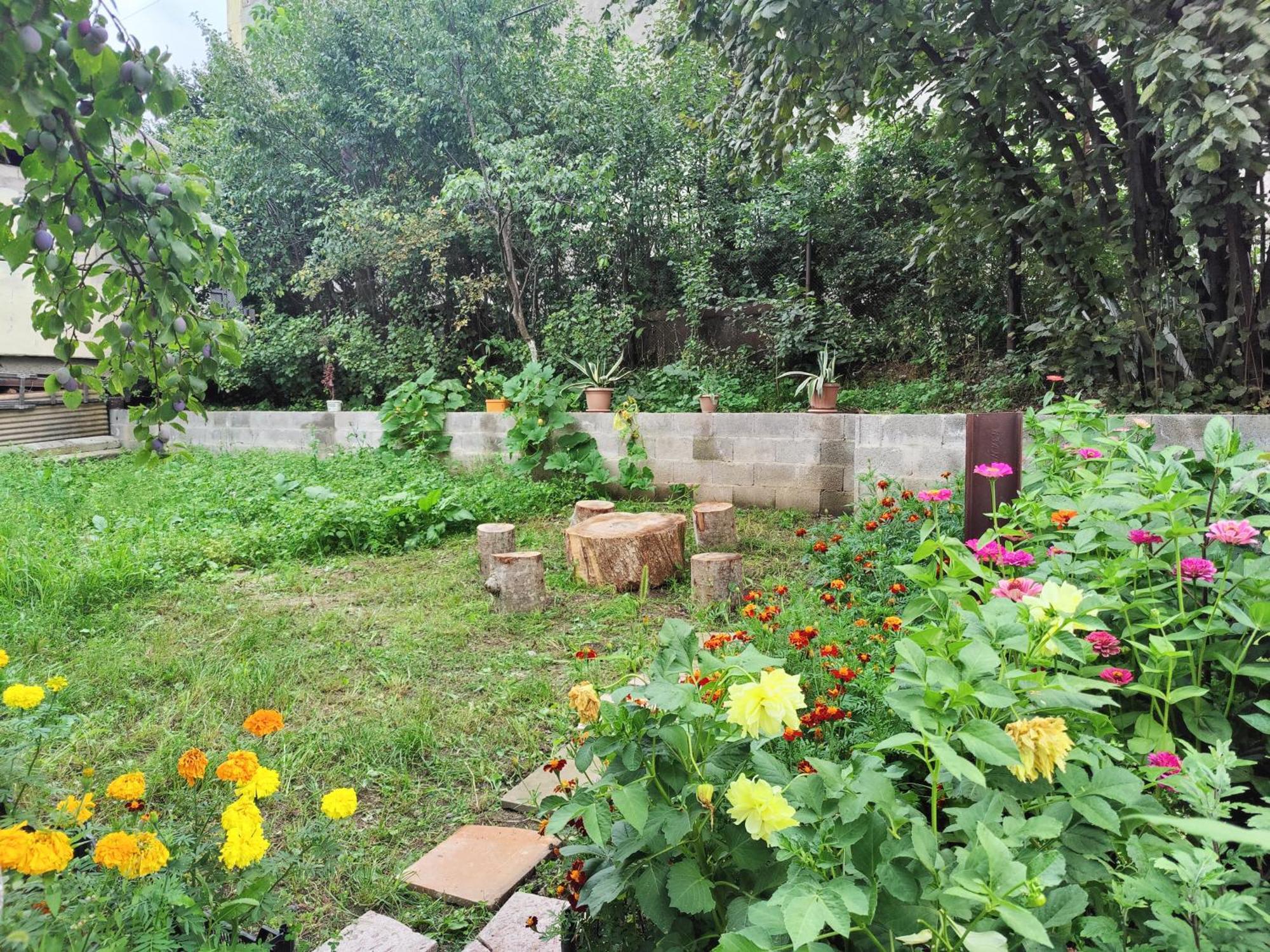 Sunny Lodge 迪利然 外观 照片